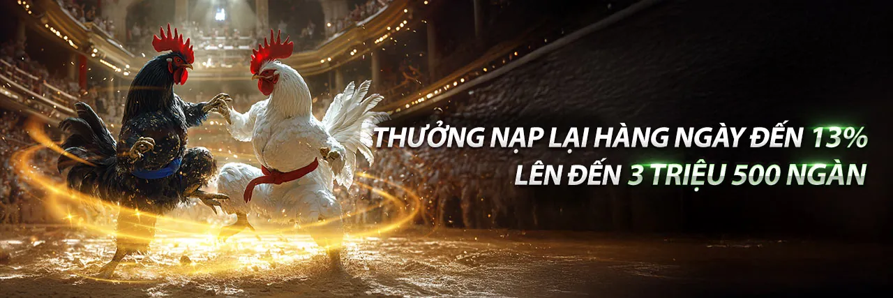 Ứng dụng 79yd win trên điện thoại