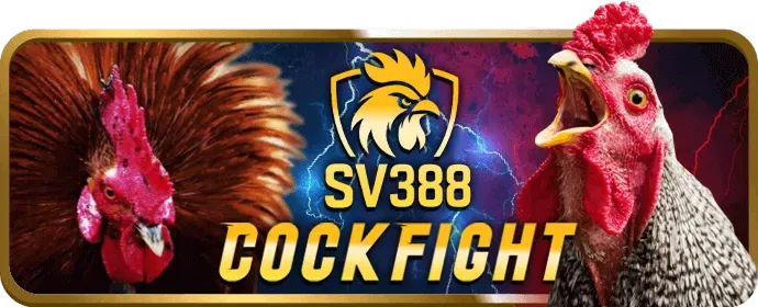 Thêm máy đánh bạc mới với Jackpot khủng tại 79yd win